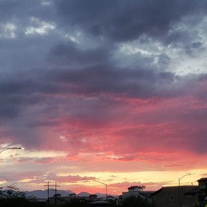 Meet your Posher Jeannie